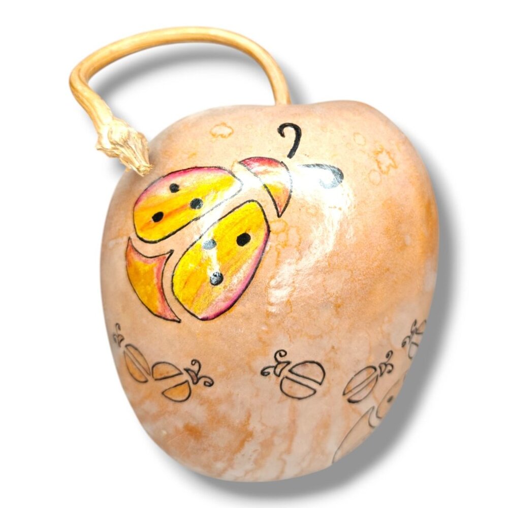 Hand-Painted Gourd Colorful Ladybug Ying Yang Art Natural Stem Artist Signed 6"